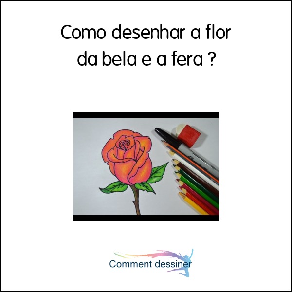 Como desenhar a flor da bela e a fera